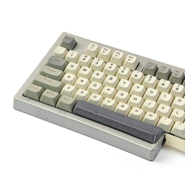 Womier DK98 Retro Gaming Keyboard Membrane RGB Backlight-4