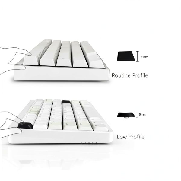 Pavo Custom Keycaps 143 Low Profile Mechanical Keyboard-2